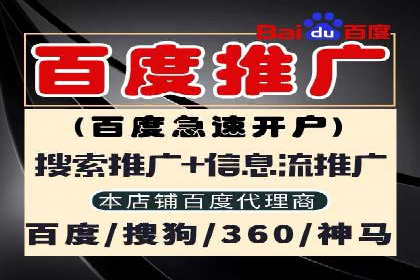 提升关键词竞价排名转化率：经典案例解析